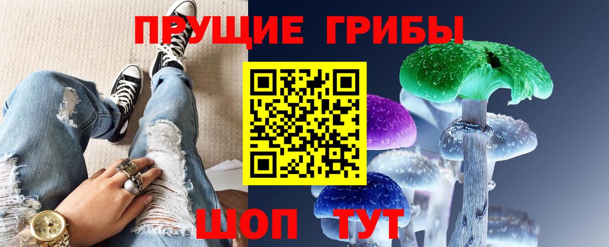 Галлюциногенные грибы Psilocybe Новороссийск