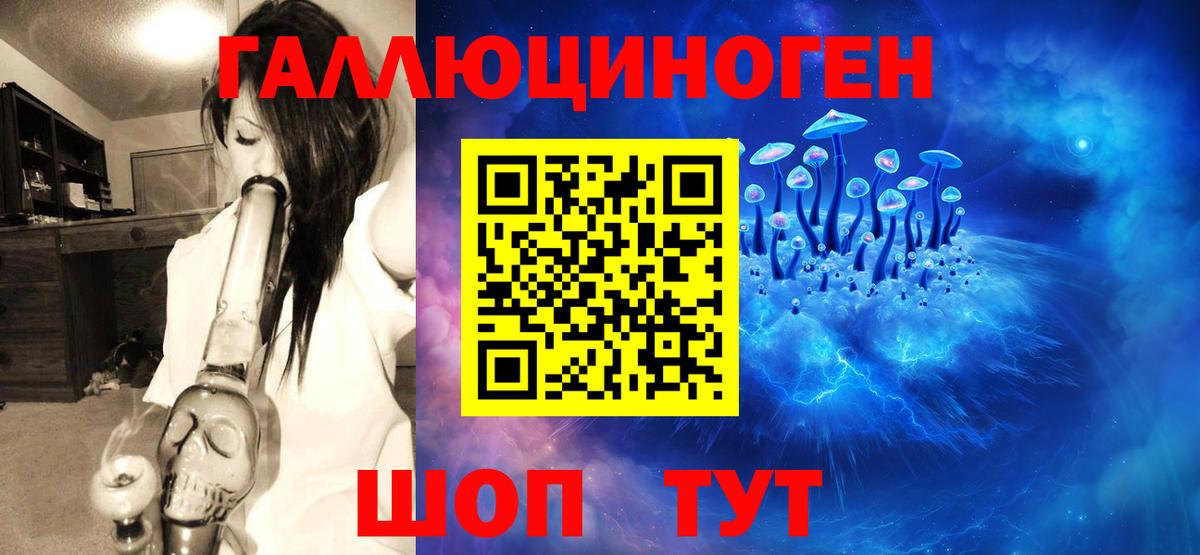 купить  цена  Вход с VPN  Новороссийск  Псилоцибиновые грибы GOLDEN TEACHER 